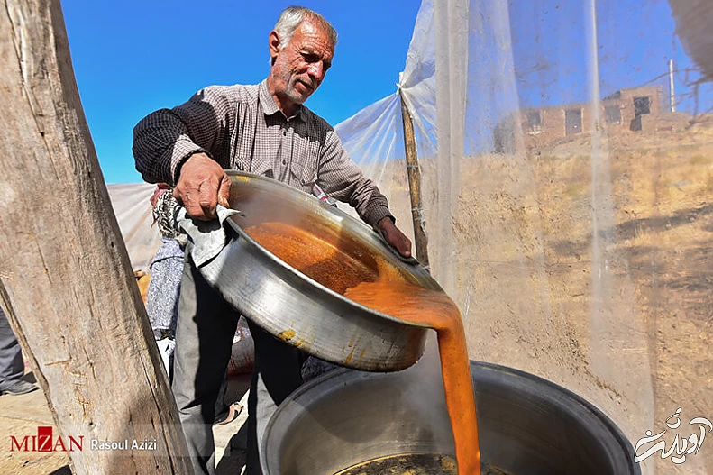 فواید و خواص فوق‌العاده «دوشاب» برای این افراد
